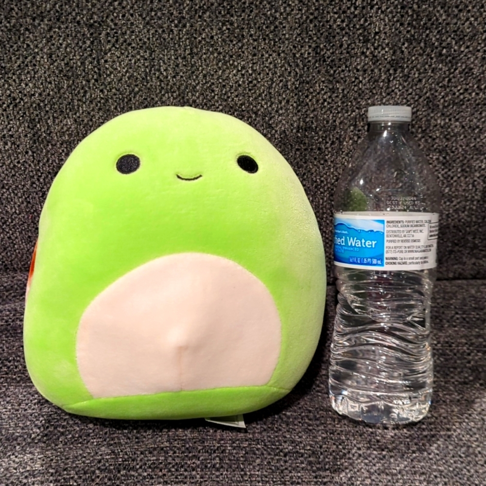 Antoni the Turtle Squishmallow